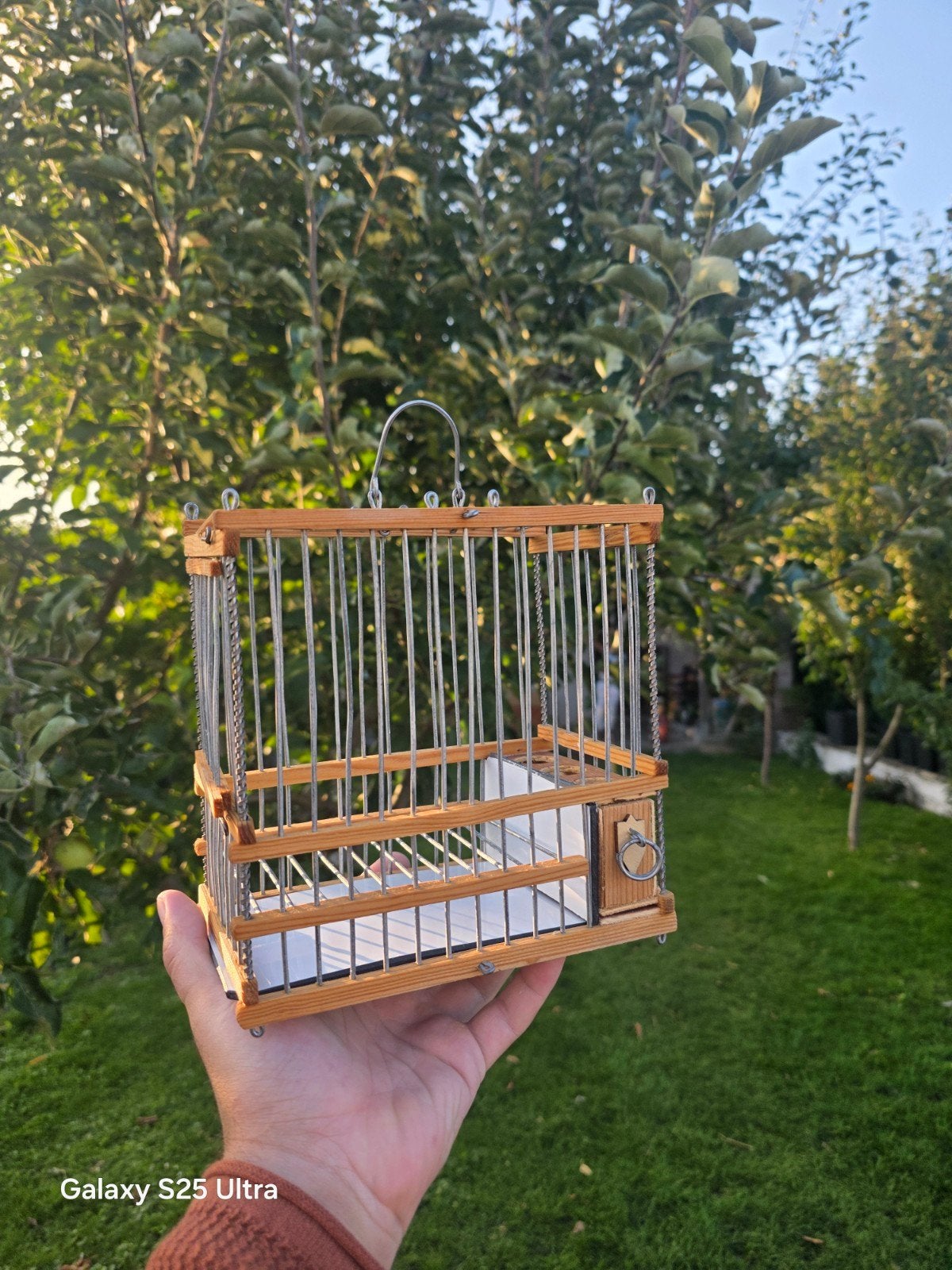 cage de chant