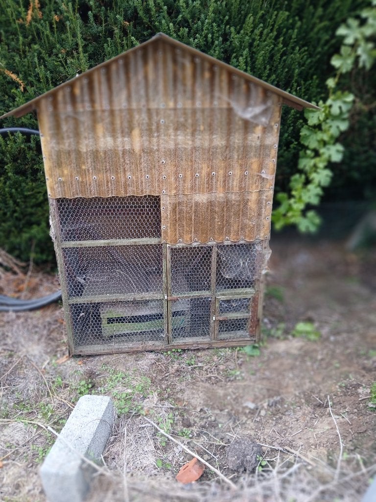 vogel kooi, Enlèvement, Utilisé, Bois, Cage à oiseaux