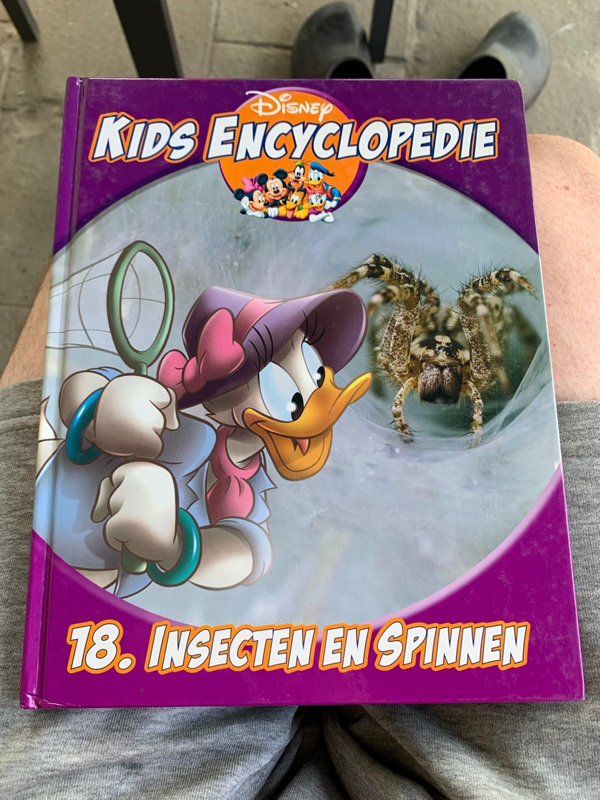 Kids encyclopedie - Insecten en spinnen, Boeken, Ophalen of Verzenden, Zo goed als nieuw