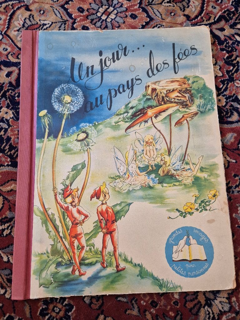 Antiek grootboek FR, Ophalen of Verzenden