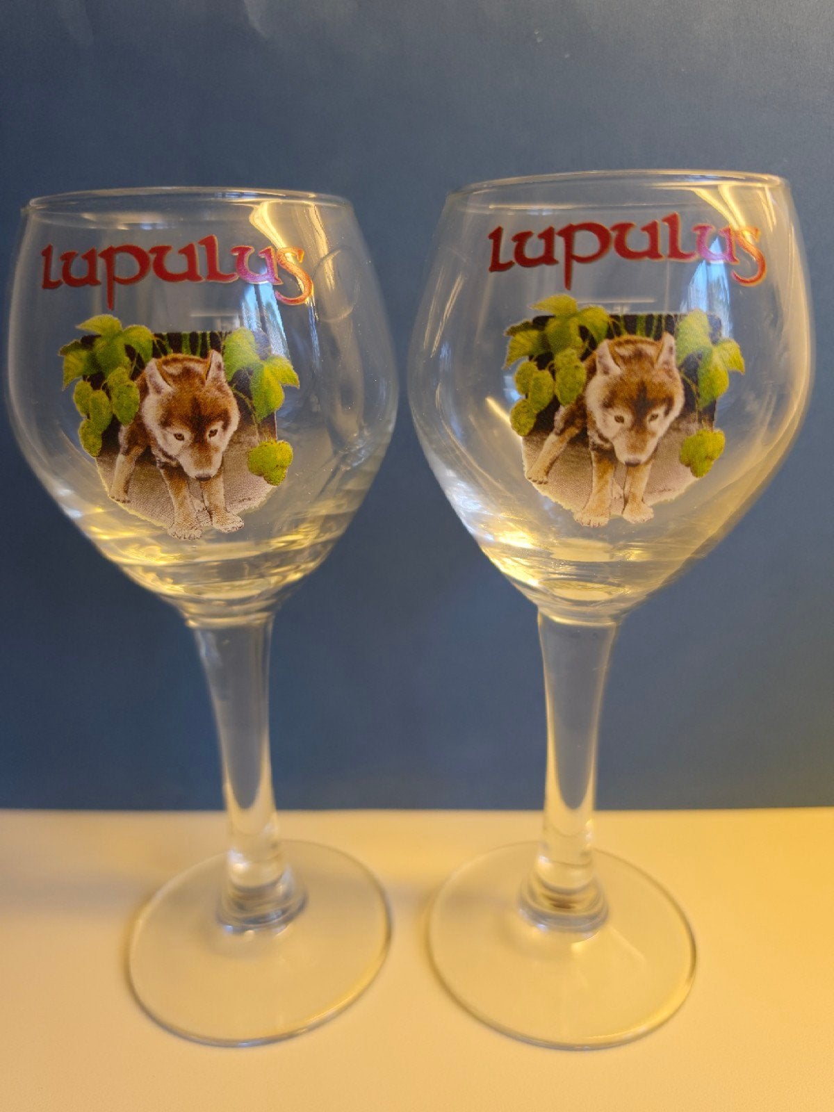 2 Lupulus proefglazen 15 cl, Collections, Enlèvement ou Envoi, Comme neuf, Verre ou Verres, Autres marques