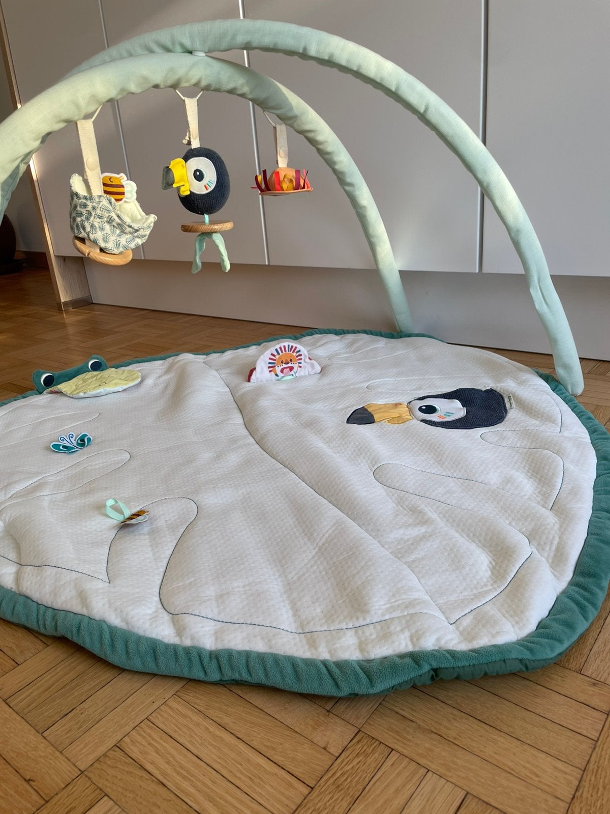 Tapis d’éveil Lilliputiens bébé, Enfants & Bébés, Enlèvement, Utilisé