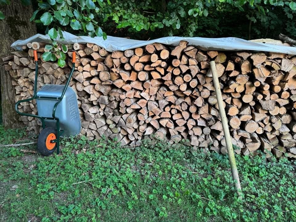 Bois de chauffage sec, Jardin & Terrasse, 3 à 6 m³, Enlèvement ou Envoi, Autres essences de bois, Bûches