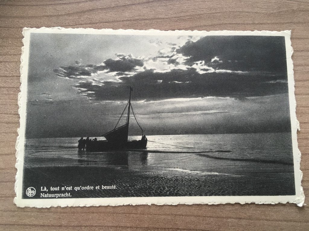 Postkaart De Panne - Natuurpracht, Verzamelen, Ophalen of Verzenden