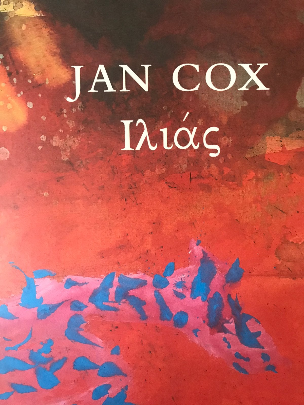 Jan Cox Ilias 50 pag, Boeken, Ophalen of Verzenden, Zo goed als nieuw, Schilder- en Tekenkunst