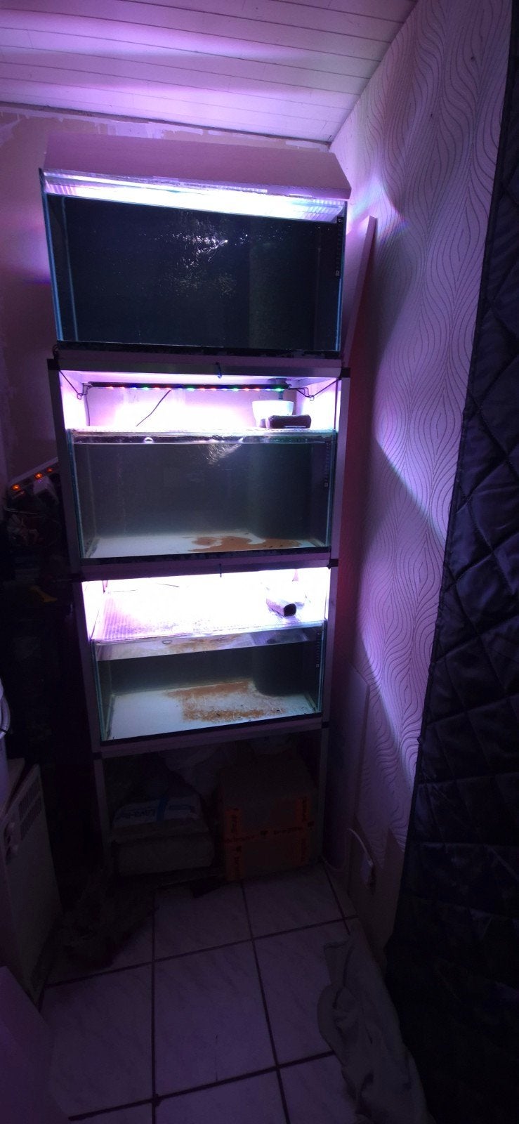Aquarium stelling rack, Dieren en Toebehoren, Ophalen, Pomp