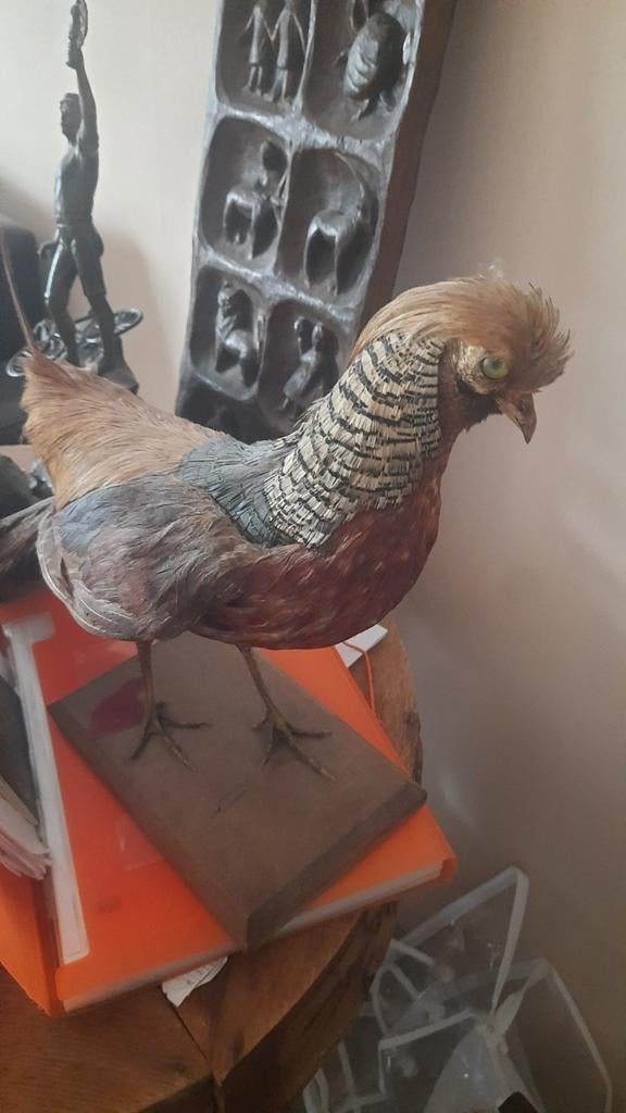 vogeltje, Antiek en Kunst, Ophalen of Verzenden