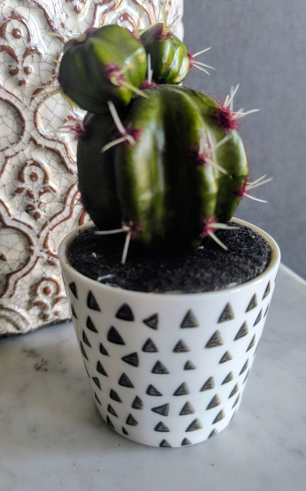 Cactus en plastique, Enlèvement ou Envoi, Utilisé, Intérieur, Moins de 40 cm
