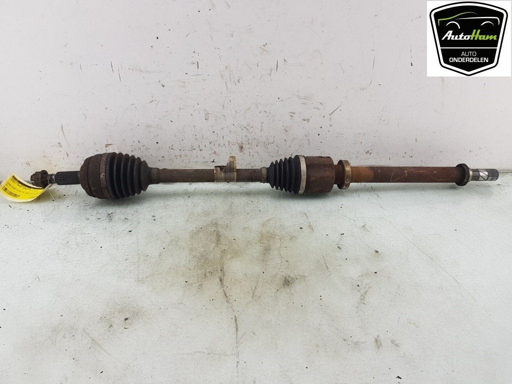 CARDAN AVANT DROIT (TRANSMISSION) Grand Scénic III (JZ), Utilisé, Renault