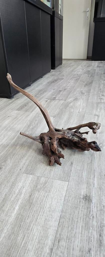 Mooi stukje aquarium hout +-30cm, Dieren en Toebehoren, Ophalen