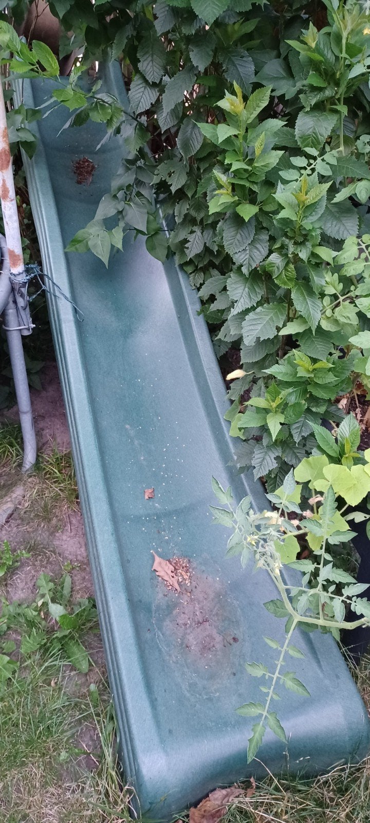 Toboggan vert, Kinderen en Baby's, Speelgoed | Buiten | Speeltoestellen, Ophalen, Glijbaan