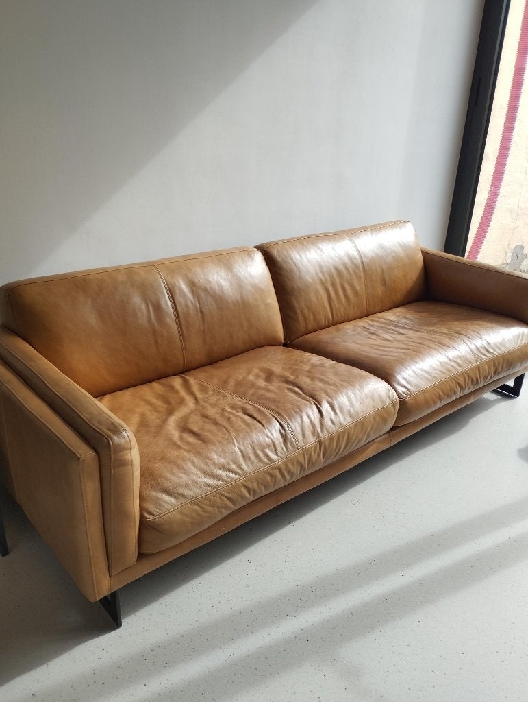 zetel, 200 à 250 cm, Banc droit, Enlèvement, Utilisé
