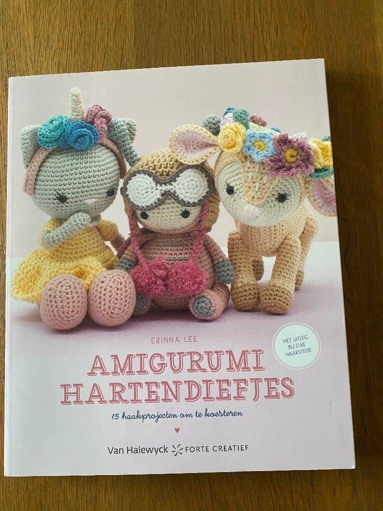 Haken, Ophalen, Zo goed als nieuw, Haken, Patroon of Boek