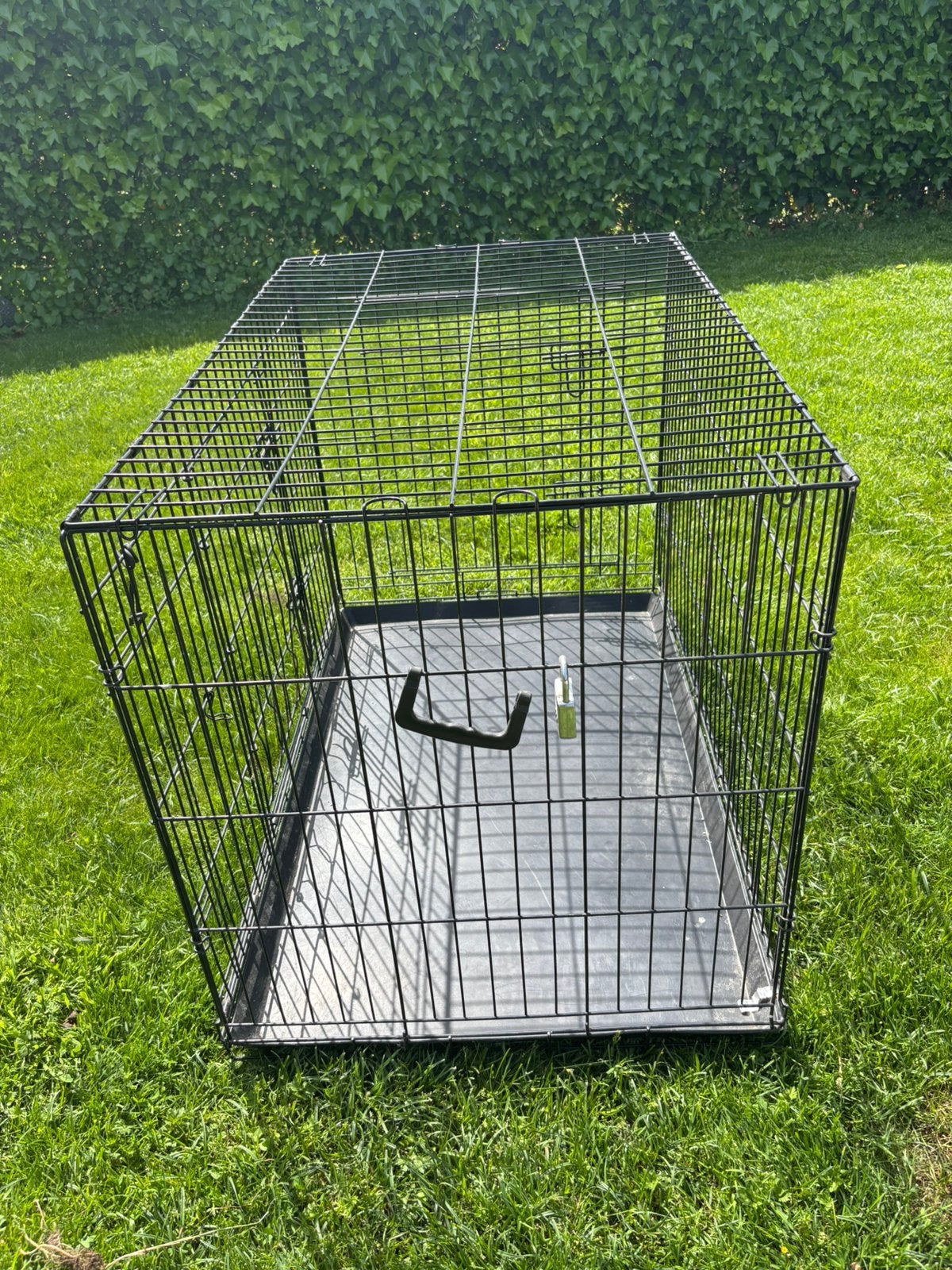 Bench voor grote hond, Ophalen, Hondenkennel, Gebruikt, 65 tot 100 cm