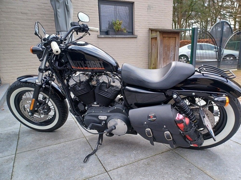 Sportster 48, Motoren, Particulier