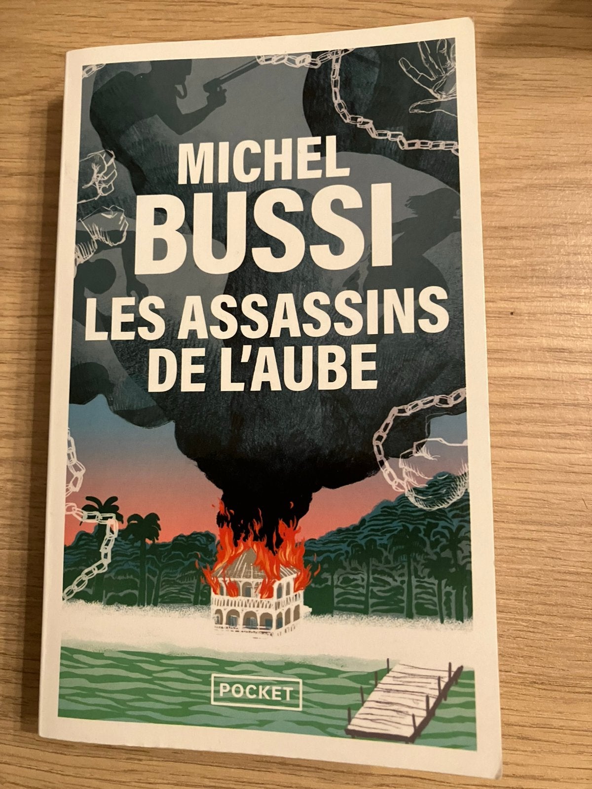 Poche Michel BUSSI (2025): Les Assassins de l’Aube, Livres, Enlèvement, Utilisé