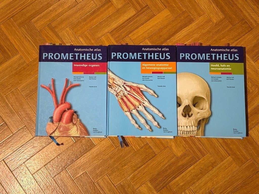 Atlas anatomique PROMETHEUS - Set de 3 pièces - comme neuf, Enlèvement ou Envoi, Comme neuf, Enseignement supérieur