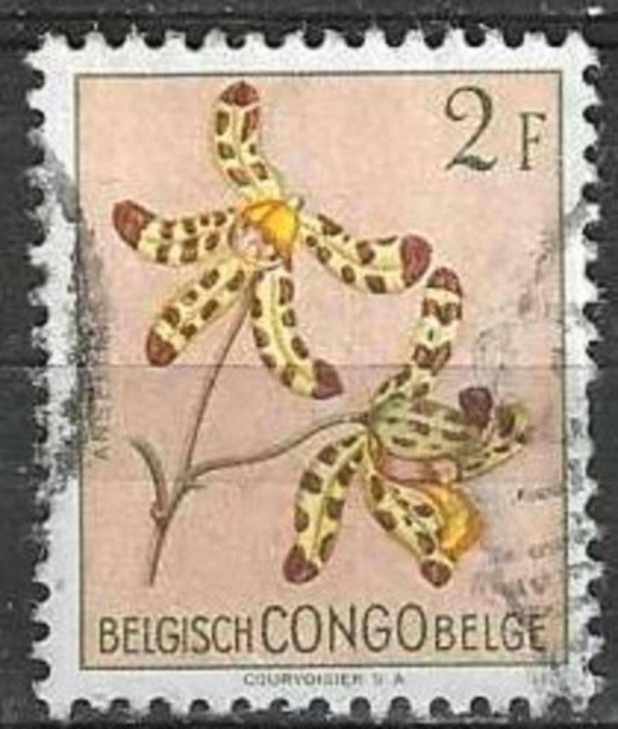 Congo belge 1952 - Yvert 313 - Flore - Fleurs (ST), Envoi, Affranchi