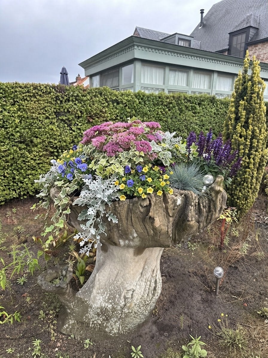 Betonnen boomstronk: vogelbad/plantenbak (Ravels), Ophalen