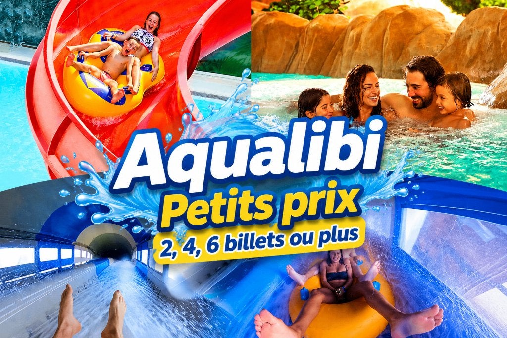 Billets Aqualibi/Walibi Aqua moins chers, Tickets & Billets, Deux personnes, Ticket ou Carte d'accès