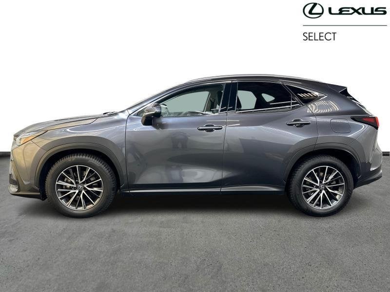 Lexus NX PHEV AWD Executive | tow bar | all season tyres, Autos, Lexus, Achat, 2487 cm³, Autres couleurs, Noir