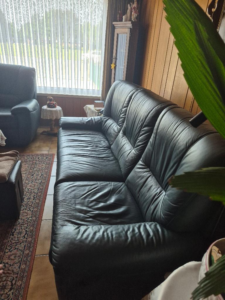 Donker groen lederen salon, Ophalen, Gebruikt, Rechte bank, Leer