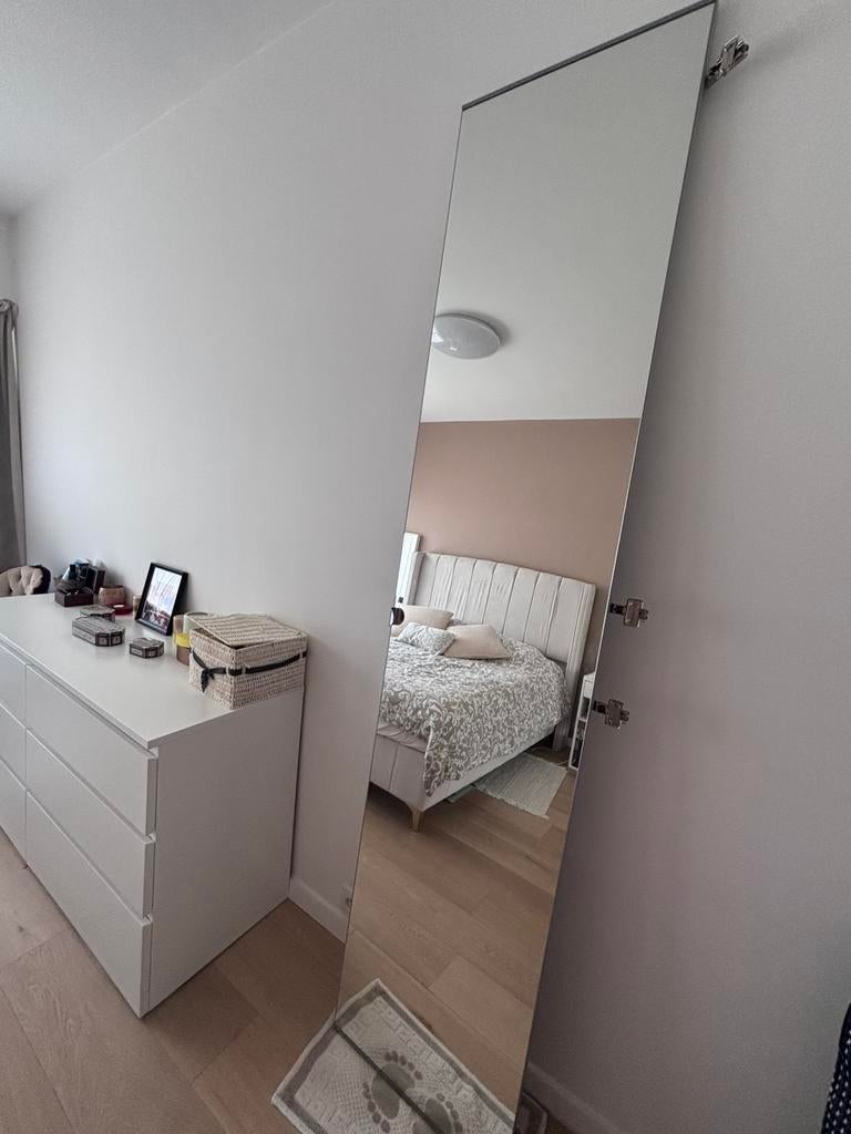 Miroir aheim ikea 50x226, Huis en Inrichting, Woonaccessoires | Spiegels, Gebruikt, 50 tot 75 cm, 200 cm of meer, Rechthoekig