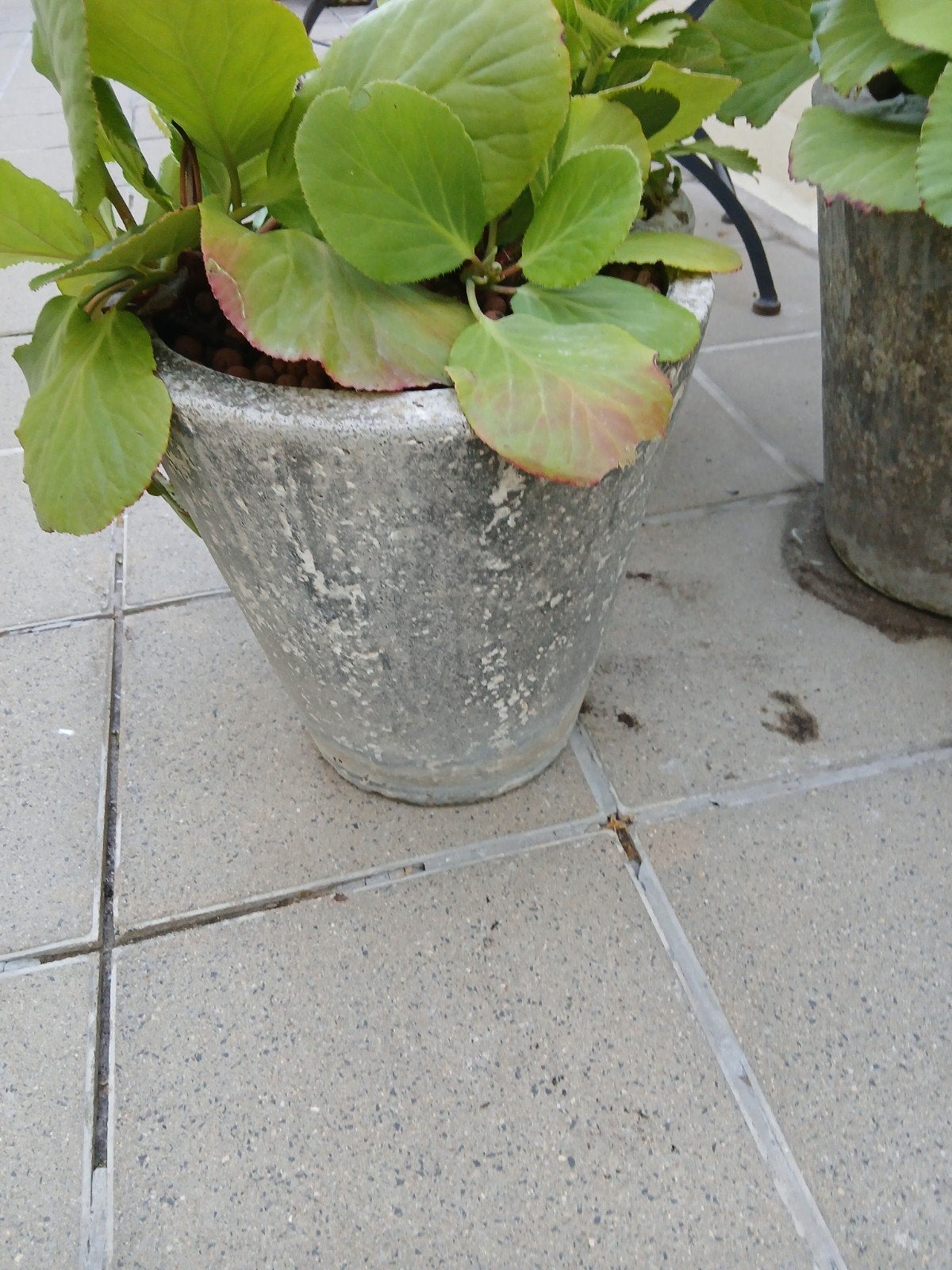 zware pot in steen, Ophalen