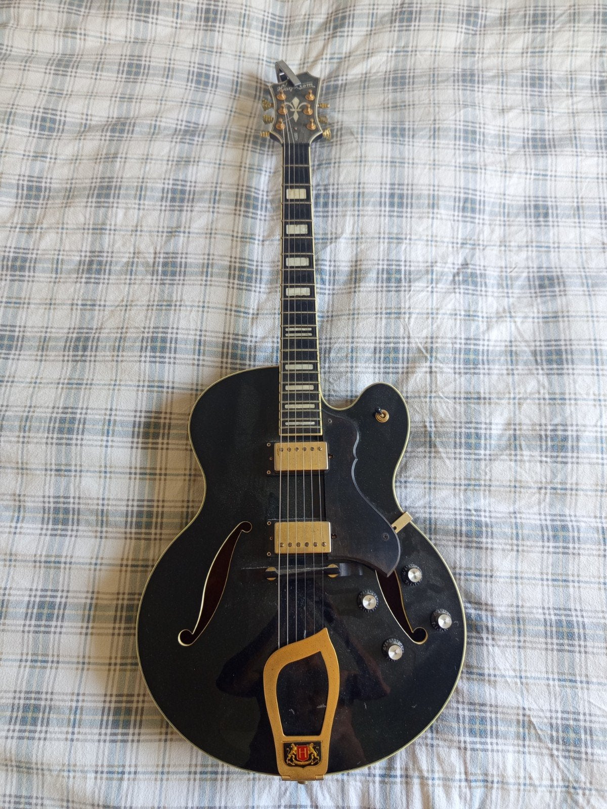 Hagstrom HJ500, Musique & Instruments, Instruments à corde | Guitares | Électriques, Enlèvement