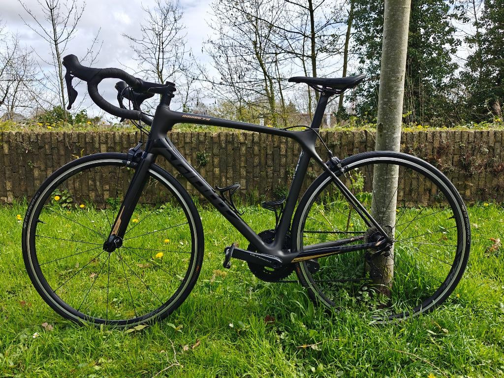 Giant TCR Advanced 1 (2021) – Volledig Ultegra, 49 à 53 cm, Enlèvement, 28 pouces, Hommes