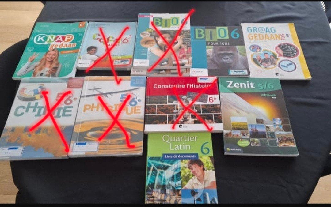 Livres Manuels scolaires 5/6 secondaire français et néerland, Livres, Livres scolaires, Enlèvement ou Envoi, Secondaire, Histoire