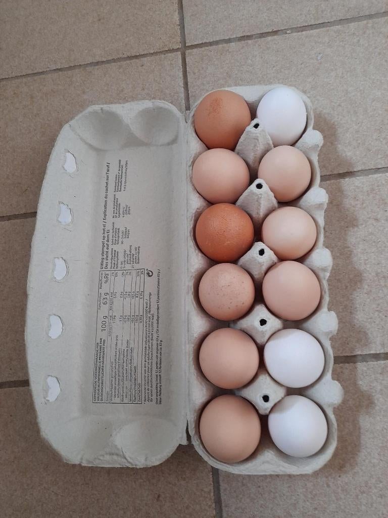 Kippeneieren te koop, Diversen, Ophalen