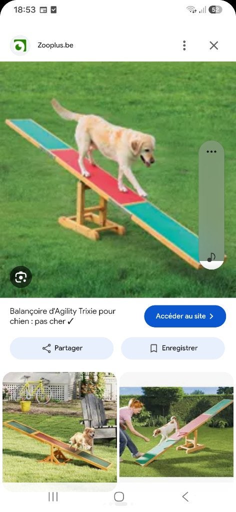 Balançoire pour chien Trixie Agility-Wipe Bascule, Trixie, Enlèvement, Neuf, Jouet pour chien