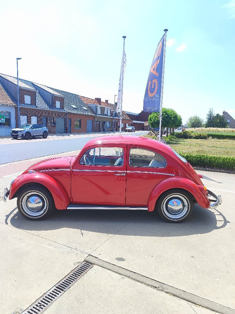 Vw kever 1200 bwj 1964 perfecte staat, gekeurd + garantie, foto 4