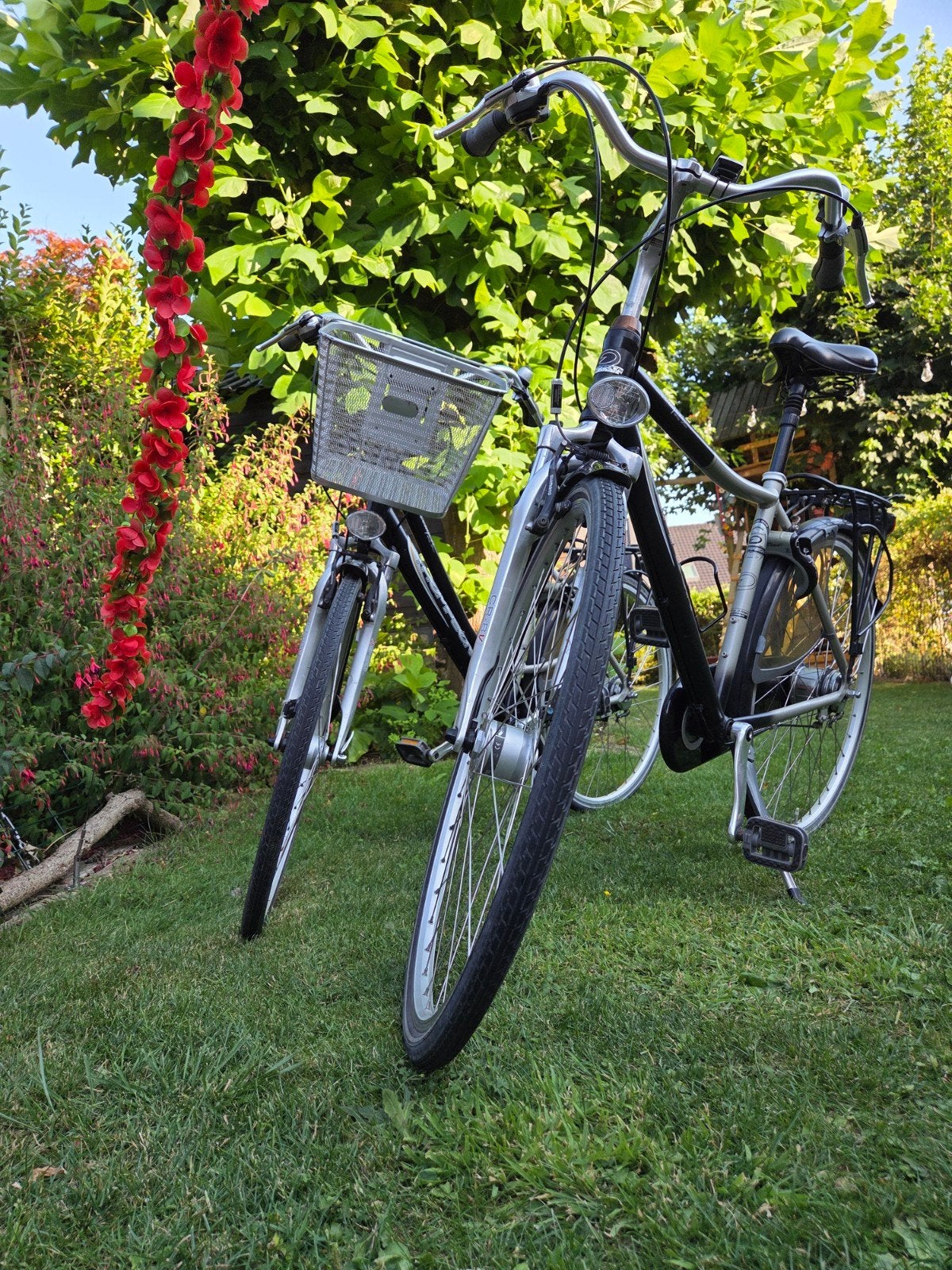 Thomson dames en herenfiets, 7naafversnellingen in topstaat, Fietsen en Brommers, Ophalen, Zo goed als nieuw