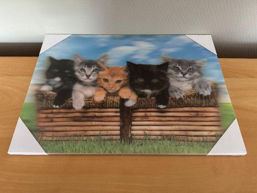 Schilderij kittens (3D MDF), Antiquités & Art, Art | Peinture | Moderne, Enlèvement ou Envoi, Effet 3D, Animaux