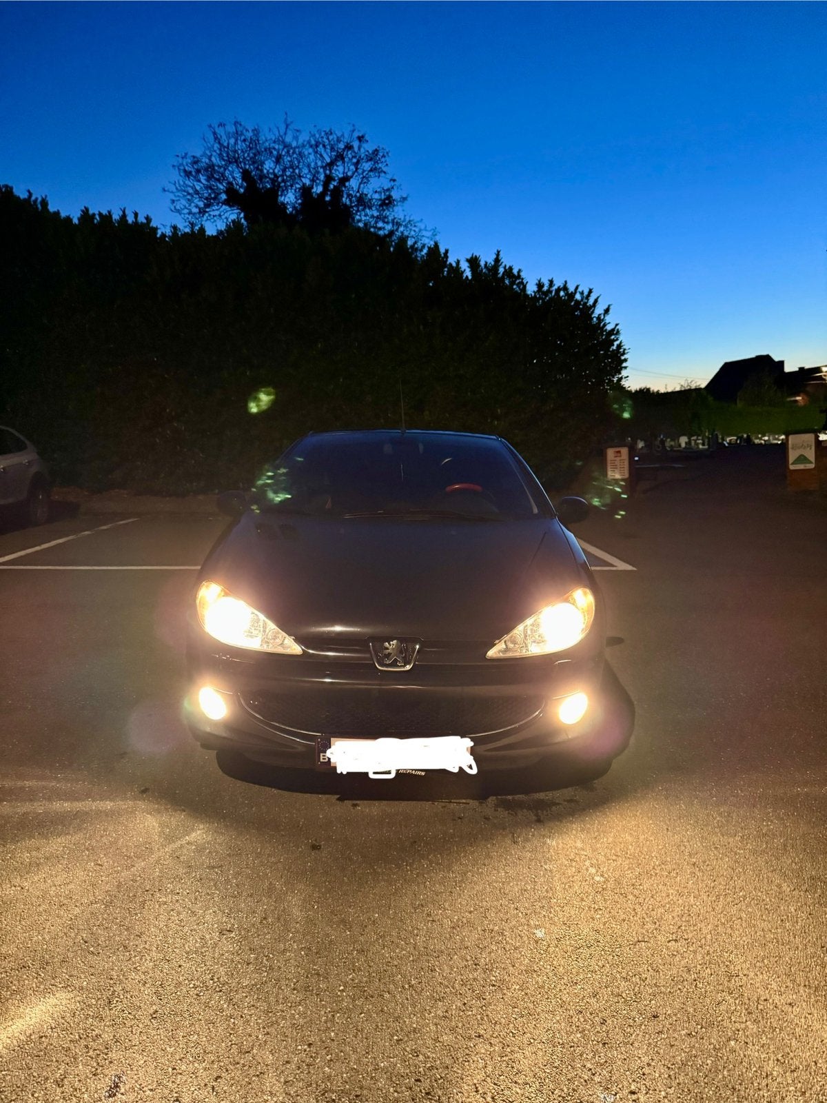 Peugeot 206 CC Cabrio (10/2006) – Gekeurd, Auto's, Voorwielaandrijving, 4 zetels, Cabriolet, 1600 cc