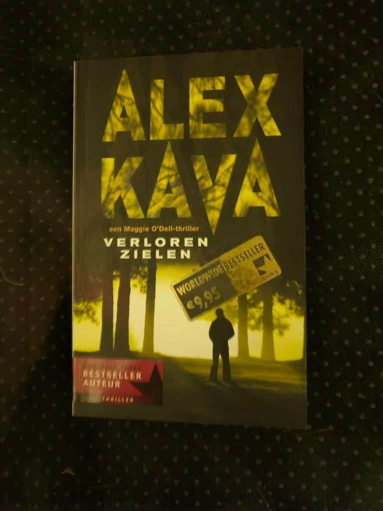 Alex Kava — Verloren zielen, Boeken, Ophalen of Verzenden