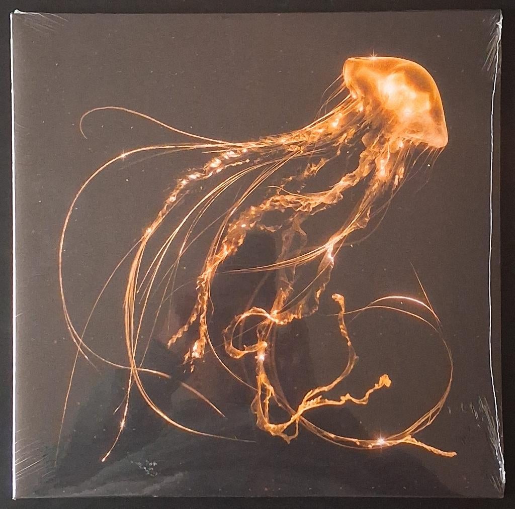 LP + 7" Royal Blood - Back To The Water Below (Deluxe Gold), Enlèvement ou Envoi, Neuf, dans son emballage, 12 pouces