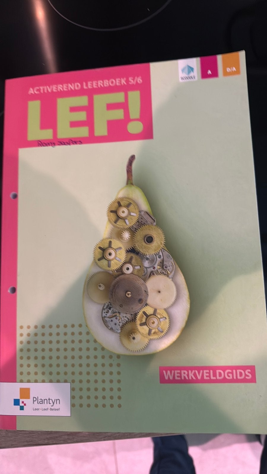 LEF! Activerend leerboek 5/6 Huishoudhulp – NIEUW, Boeken, Ophalen of Verzenden, Nederlands