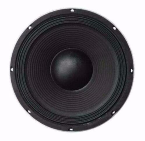 25 Cm Bass Speaker 300 Watt 8 Ohm [L041B-ELL], Audio, Tv en Foto, Ophalen of Verzenden, Nieuw, Overige typen