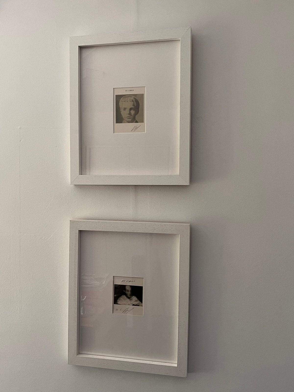 Luc Tuymans Ex Libris 2 stuks, Ophalen, Zo goed als nieuw