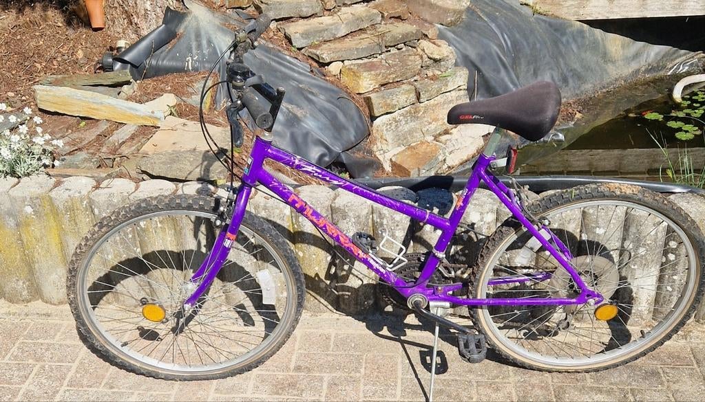 Vélo fille de la marque Murray 21 vitesses Shimano, Enlèvement