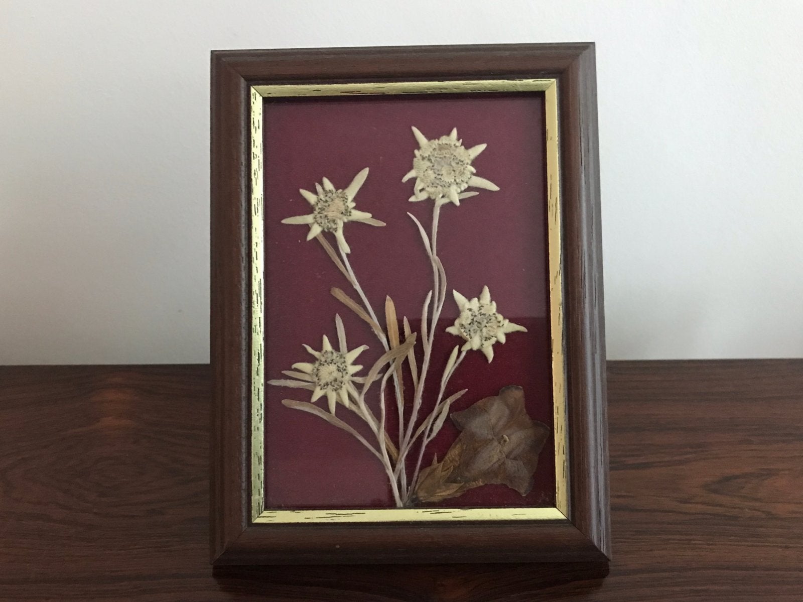 Lijst kader met echte edelweiss bloemen achter glas, Antiek en Kunst, Ophalen of Verzenden