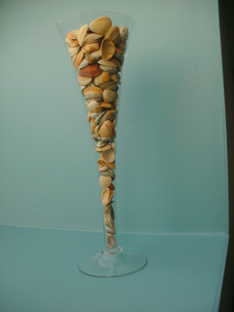 vaas met Noordzeeschelpen, Enlèvement, Neuf, Verre, 25 cm