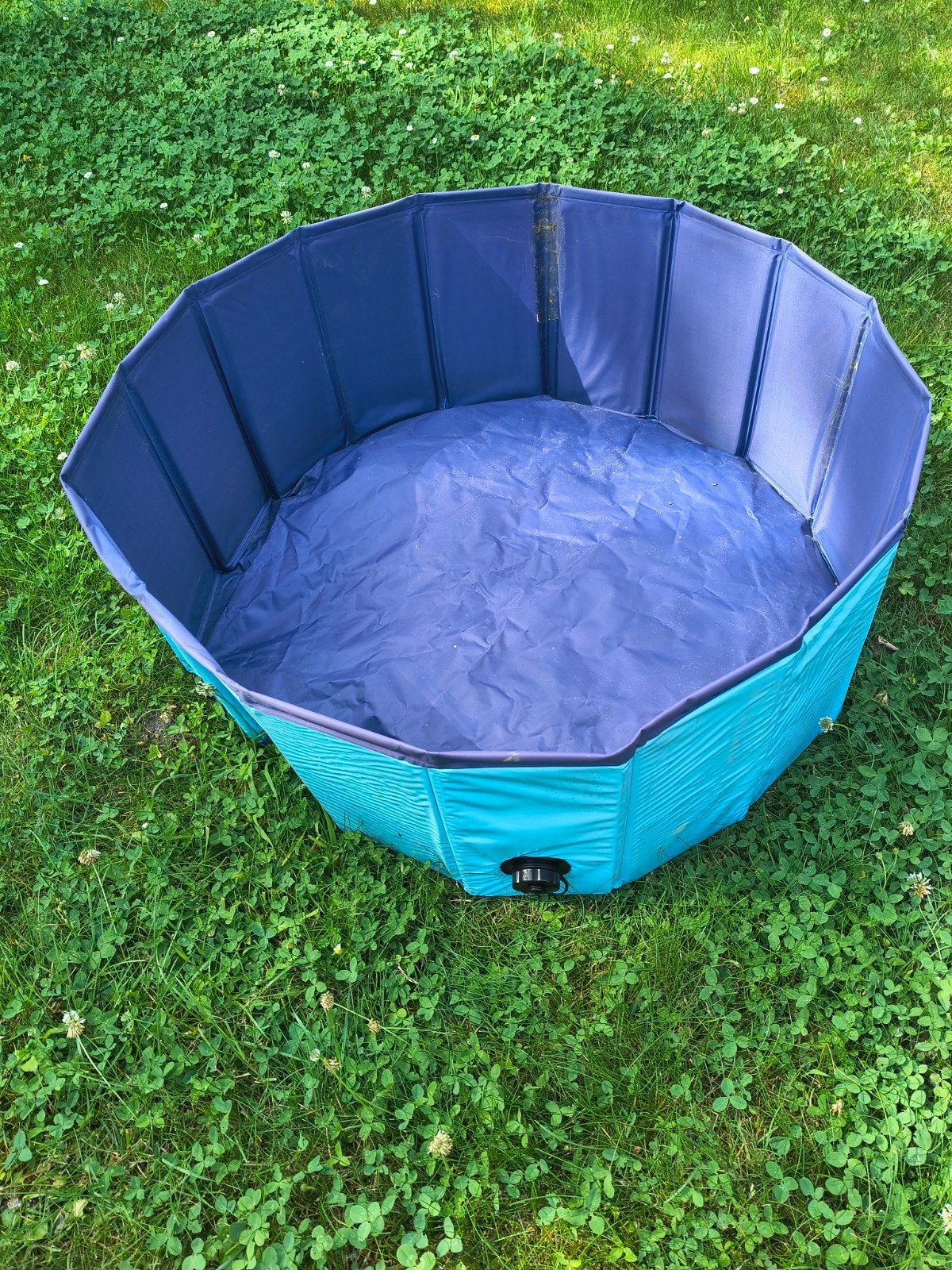 Piscine pliable pour chien - Ø 80 cm, Animaux & Accessoires, Jouets pour chiens, Enlèvement