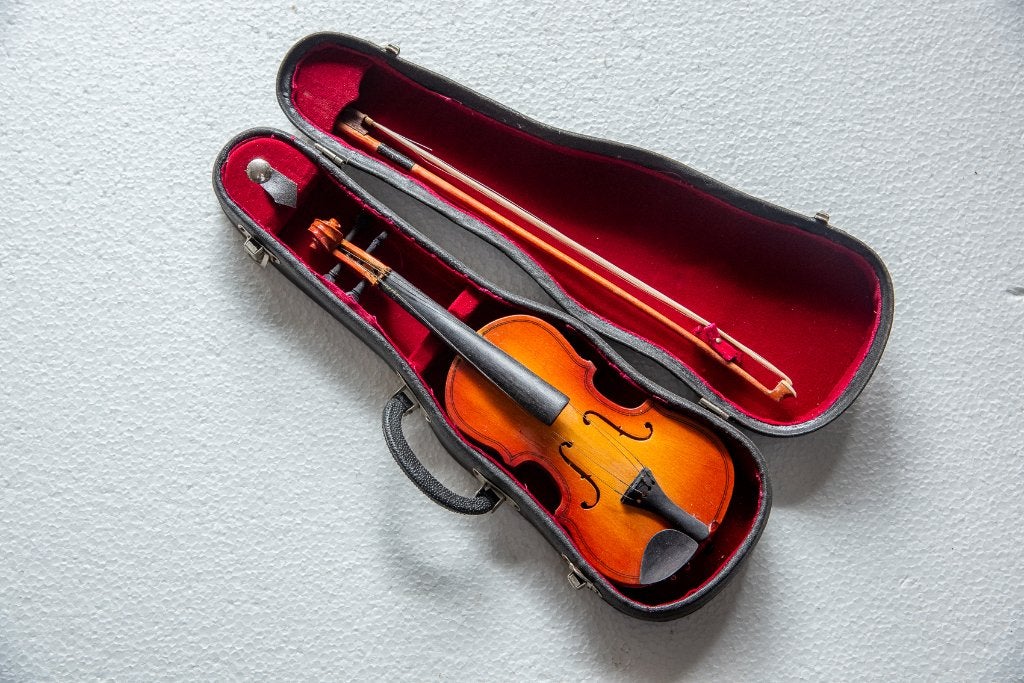 Viool in koffer 29 cm lang , mini-viool, Enlèvement ou Envoi