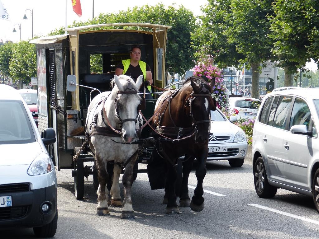 Location de licence de transport