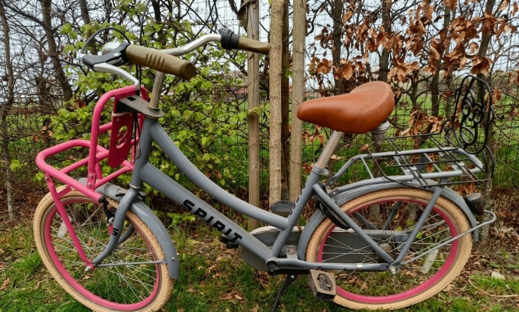 Meisjesfiets cargo grijs 22 inch, Enlèvement, 22 pouces, Vitesses