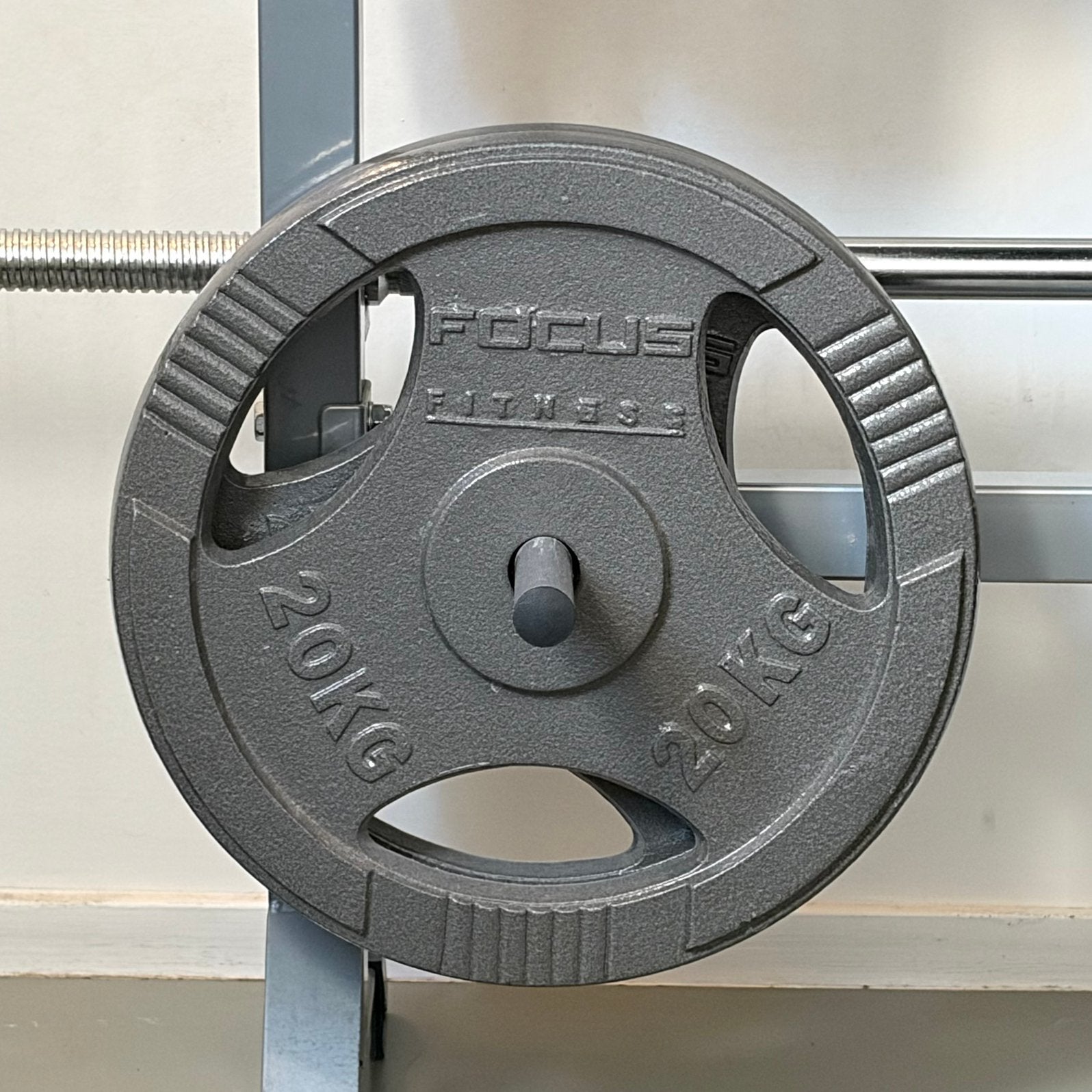 Focus Fitness Halterschijven 20 kg – Set van 2 of per stuk, Sport en Fitness, Ophalen, Zo goed als nieuw, Halterschijven